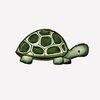 itsmeturtle